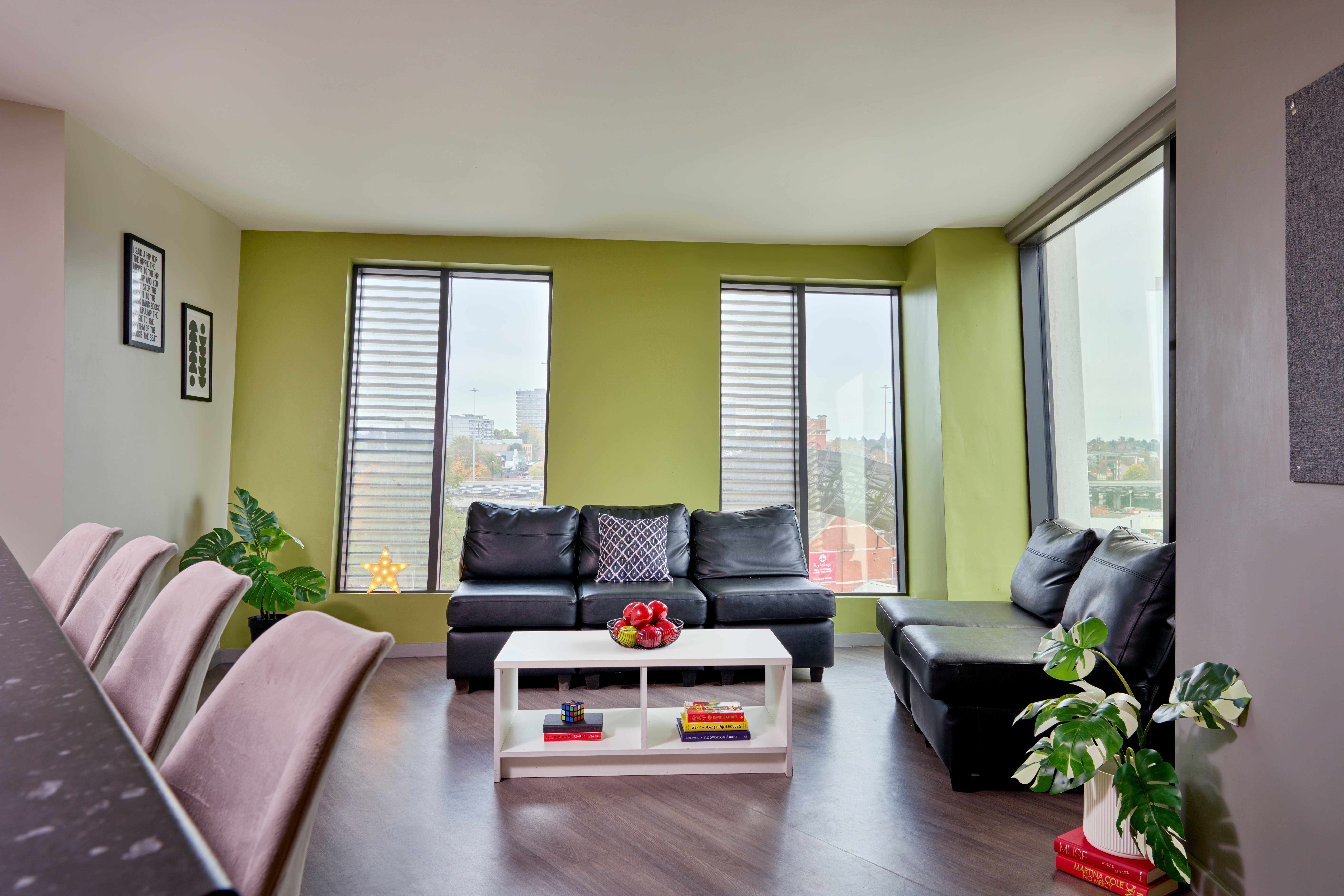 millennium view shared living area